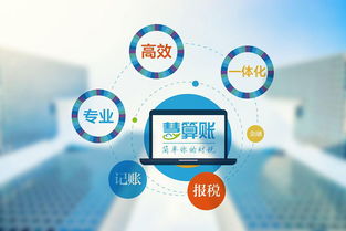 互联网时代财税服务的数字化转型与互联网信息服务的融合